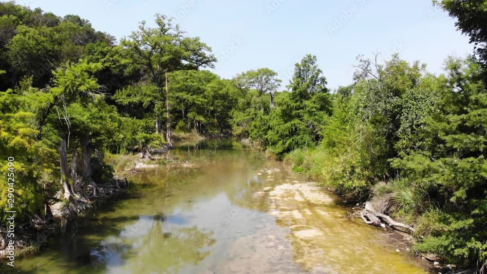 Rising above the water and showing a section of river that gets enveloped by many cypress trees. Flying in direction of trees and over their tops - Aerial footage of the Blanco river in Wimberly, TX Rising above the water and showing a section of river that gets enveloped by many cypress trees. Flying in direction of trees and over their tops - Aerial footage of the Blanco river in Wimberly, TX