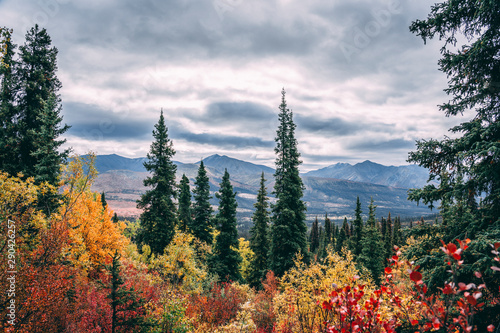 autumn in the mountains of Yukon Tombstone National Park