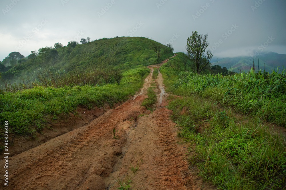 Obraz premium The mountain path way in fog, trail running path