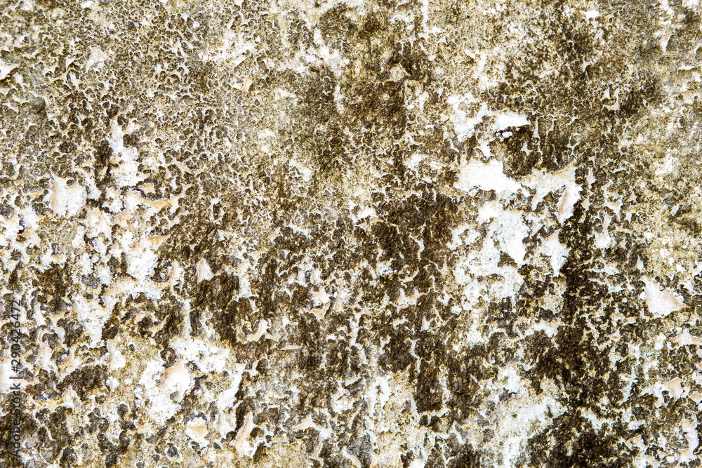 stone old background and texture. stone old background and texture.