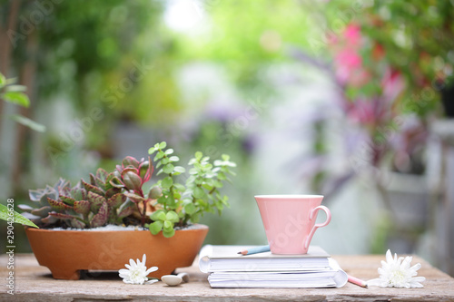 Pastel pink cup with white flower and putdoor plant with pot and books at outdoor 