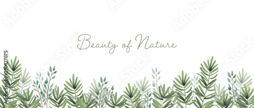 Greenery watercolor grasses and wild leaves on white background. Design for wallpaper, website banner, backdrop, and background. Space for text.