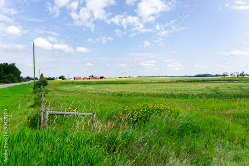 Field With Barn in Background