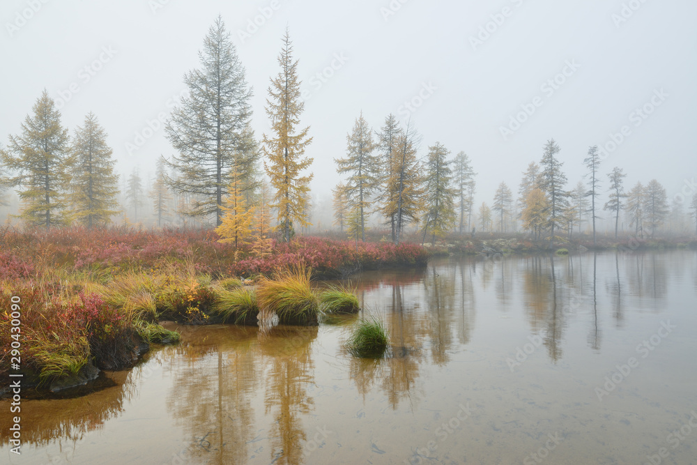 Fototapeta premium Lake in the forest, Magadan region, Kolyma, Jack London lake