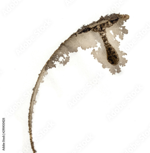 Coffee tea stain on a white background  abstract.