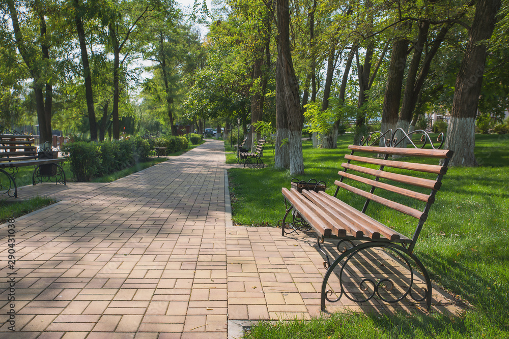 Park alleys with green spaces and trees