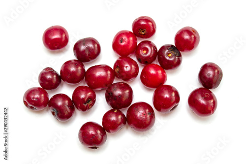 Berries of red cherry, cranberries, lingonberries on a white background.