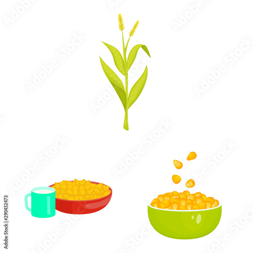 Vector design of maize and food sign. Set of maize and crop vector icon for stock.