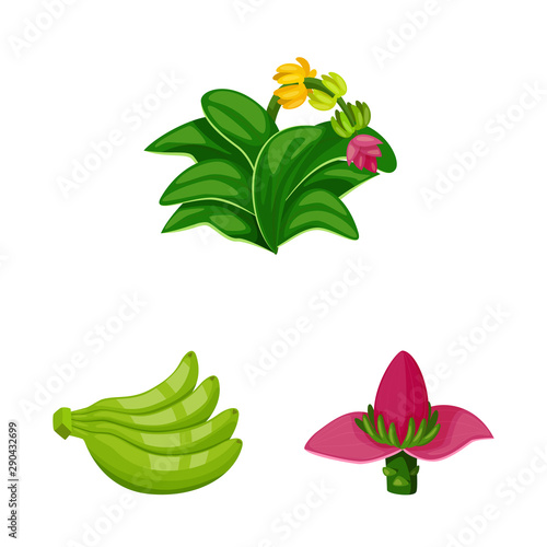 Vector illustration of tropical and ripe sign. Set of tropical and potassium vector icon for stock.