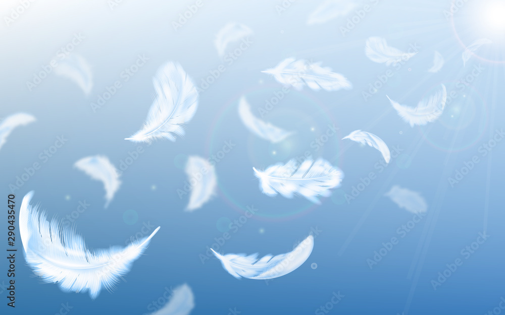 White feathers fly in air on blue sky background with sun beams and ...