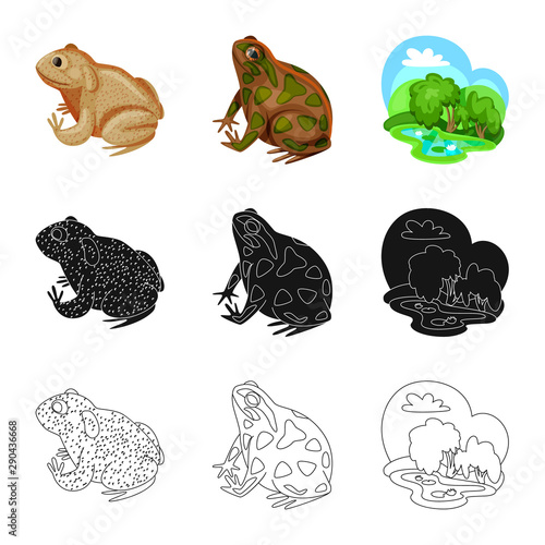 Vector design of wildlife and bog symbol. Collection of wildlife and reptile stock vector illustration. © Svitlana