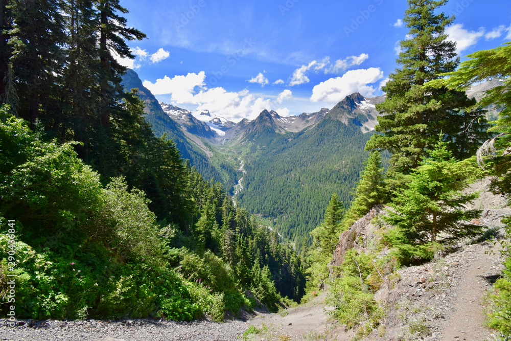 Naklejka premium Washington