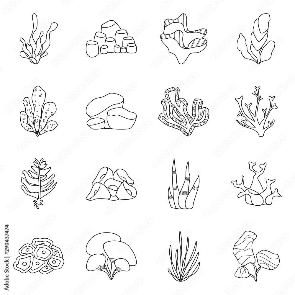 Vector design of sea and ocean sign. Collection of sea and flora vector icon for stock.