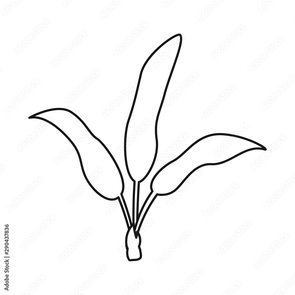 Vector illustration of palm and coconut logo. Collection of palm and leaf stock symbol for web. Vector illustration of palm and coconut logo. Collection of palm and leaf stock symbol for web.