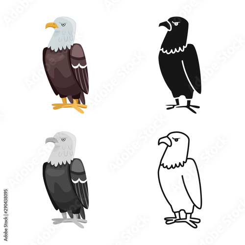 Isolated object of bird and eagle sign. Set of bird and predatory stock symbol for web.