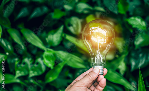 hand holding light bulb against nature, icons
