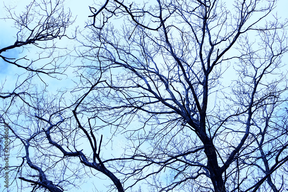 不気味イメージ