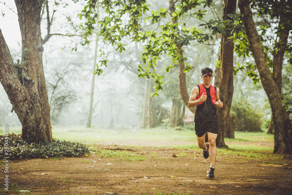 custom made wallpaper toronto digitalRunners. Young people trail running on a mountain path. Adventure trail running on a mountain. Athletic attractive people running enjoying the sun exercising their healthy lifestyle.