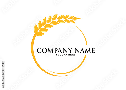 agriculture wheat logo design vector template icon