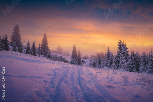 The path on a fresh snow to the mountain village © Bashkatov
