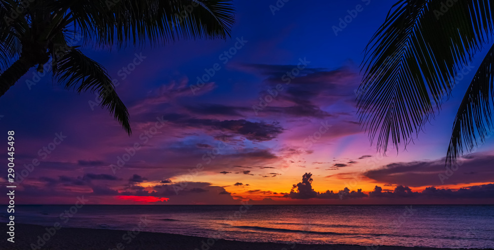 Sunset and palms - obrazy, fototapety, plakaty 