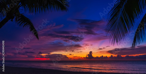 Fototapeta Naklejka Na Ścianę i Meble -  Sunset and palms