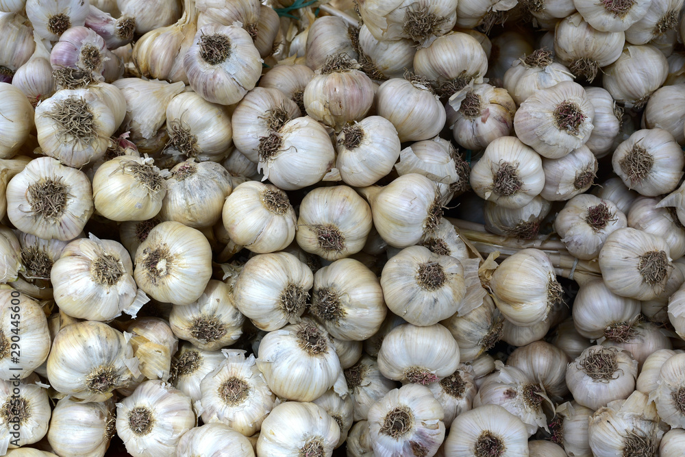 Garlic, fresh on market. Vegetables background. Garlic, fresh on market. Vegetables background.