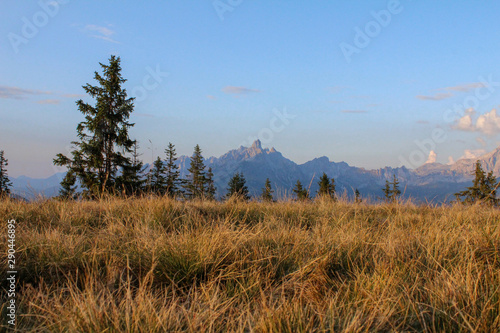 Ausblick vom Rossbrand