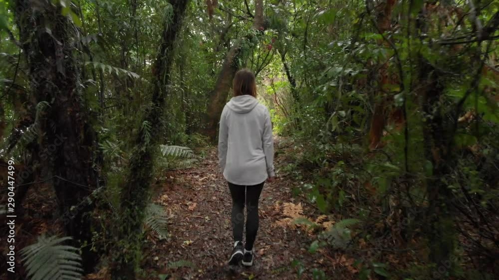 Camera Follows Young Female Hiking on Path in Dense Forest on New Zealand West Coast Camera Follows Young Female Hiking on Path in Dense Forest on New Zealand West Coast