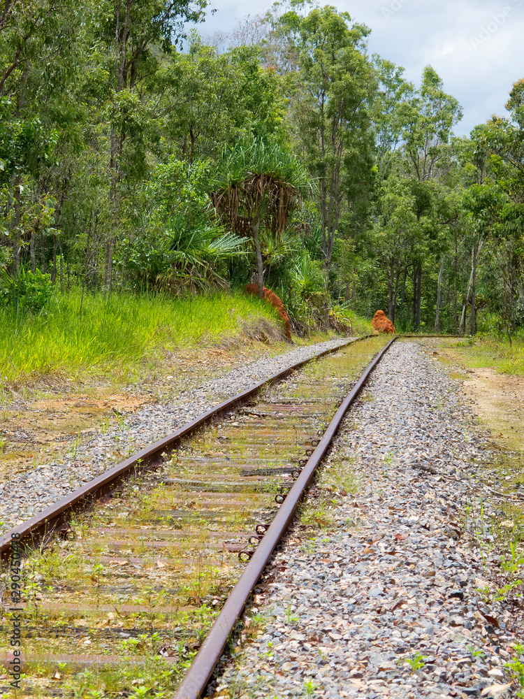Fototapeta premium Termite mounds and railway tracks near Kuranda in Tropical North Queensland, Australia