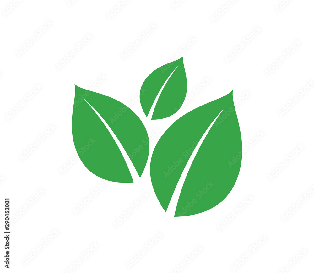 Green eco leaf logo element symbol, vector template,