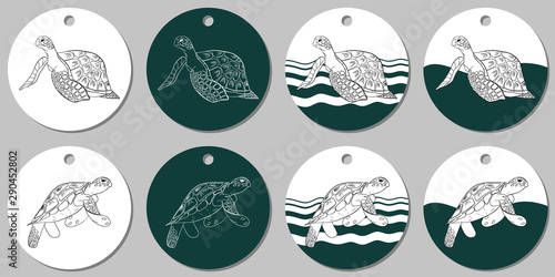 Round sticker template with sea turtle. Vector illustration with white and turquoise stains on white background © Anna