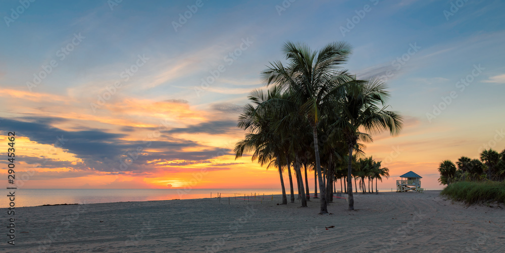Obraz premium Beautiful Sunrise at palm trees by the ocean beach in Florida Keys