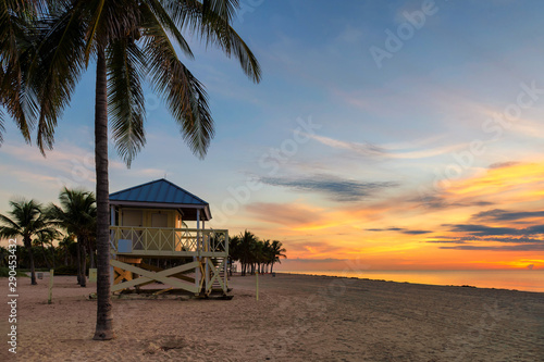 Fototapeta Naklejka Na Ścianę i Meble -  Palm trees in Ocean beach at sunrise in Florida Keys