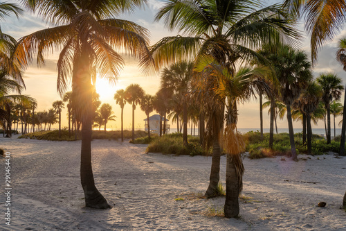Palm trees at Sunrise by the ocean beach in Florida Keys © lucky-photo