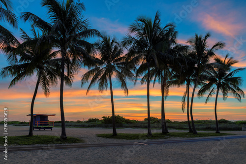 Coconut palm trees silhouette on tropical beach at sunrise in Miami Beach, Florida.