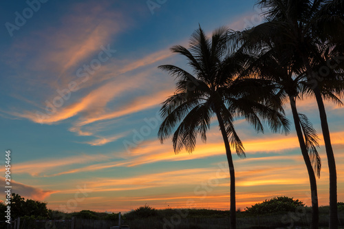 South beach with palm trees at spectacular sunrise in Miami Beach  Florida. Sunrise view with much copy space.