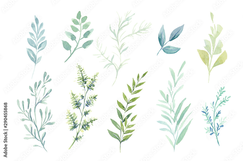 Watercolor illustrations. Botanical clipart. Set of Green leaves, herbs and branches