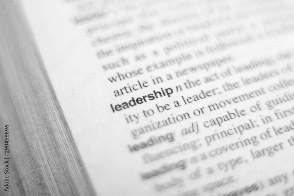 The definition of the word leadership in dictionary The definition of the word leadership in dictionary