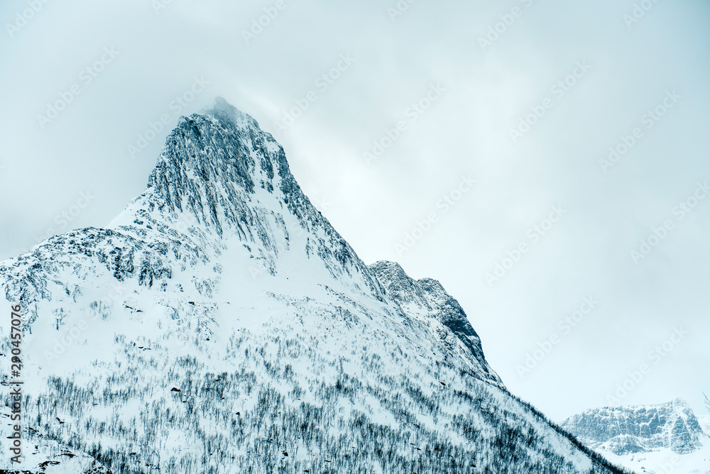 Obraz premium Dramatic winter sea and epic snowy mountains, Lofoten islands in Norway