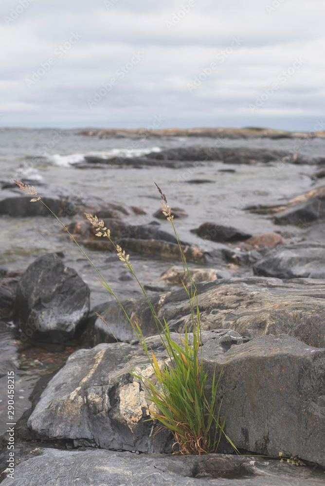 Dark moody seascape of Baltic sea in Finland archipelago. Dark moody seascape of Baltic sea in Finland archipelago.