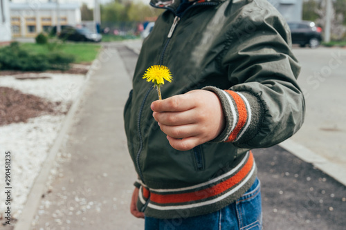small hands holding a dandelion flower