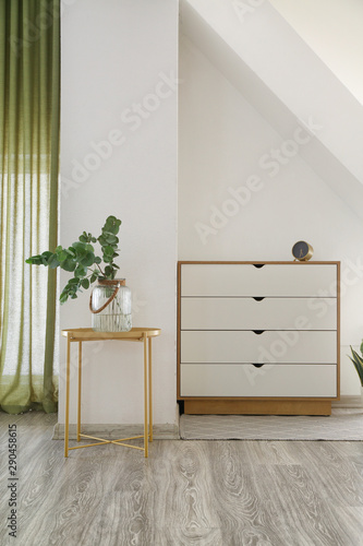 Stylish interior of room with eucalyptus branches in vase on table