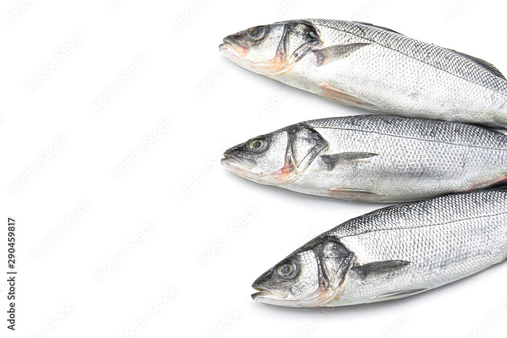 Fresh seabass fish on white background Fresh seabass fish on white background