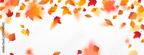 Orange fall colorful leaves flying falling effect.