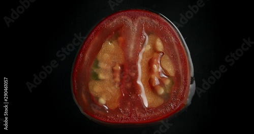 a tomato slice slowly decomposing in a transparent liquid on a black background photo