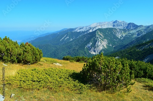 mountain landscape of the Pirin National Park in Bulgaria