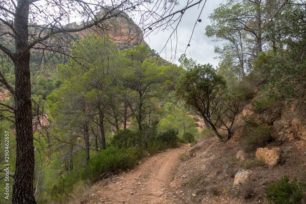 Mountains in prat del comte de Tarragona Mountains in prat del comte de Tarragona