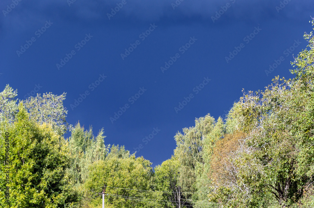 Yellow-red leaves of autumn trees on a background of sky and water. Yellow-red leaves of autumn trees on a background of sky and water.