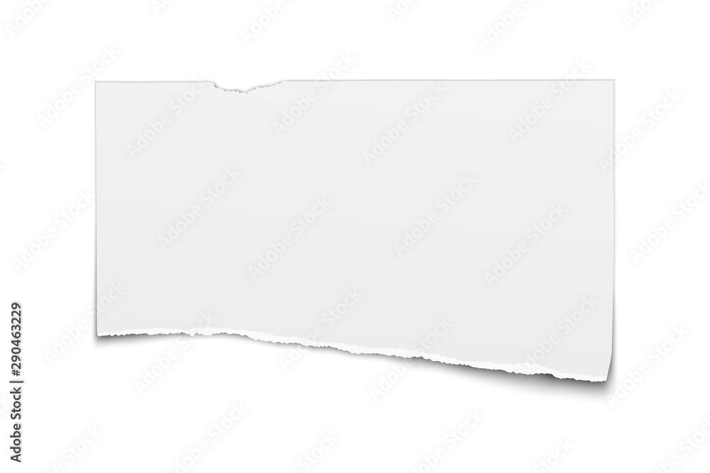 White vector oblong paper tear isolated on white background White vector oblong paper tear isolated on white background